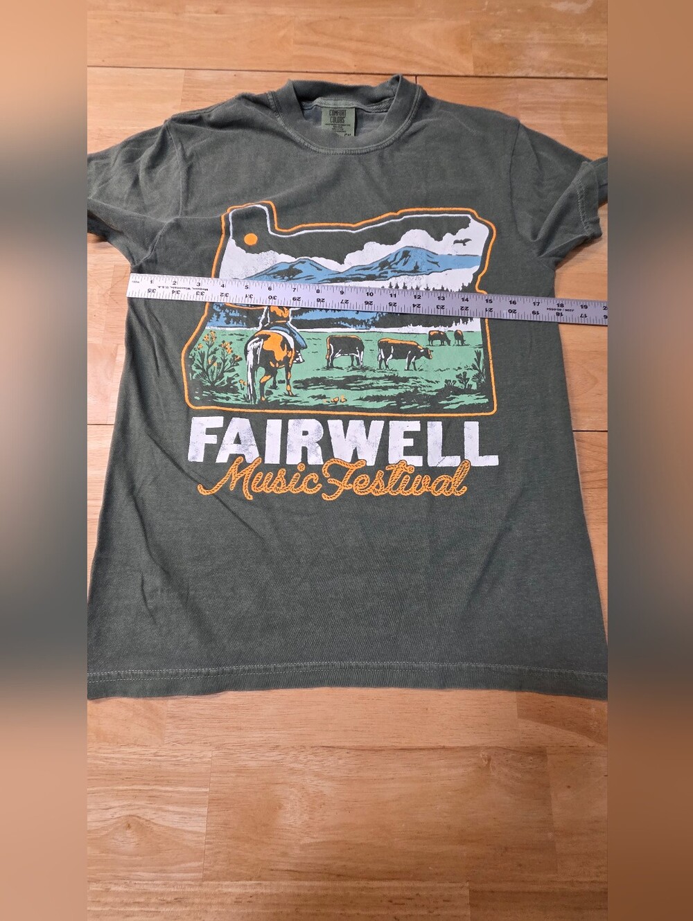 Fairwell Music Festival T-Shirt Small S Comfort Colors 2025 Tour Tyler Childers - Picture 6 of 7